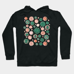 Succulent pots // green and coral Hoodie